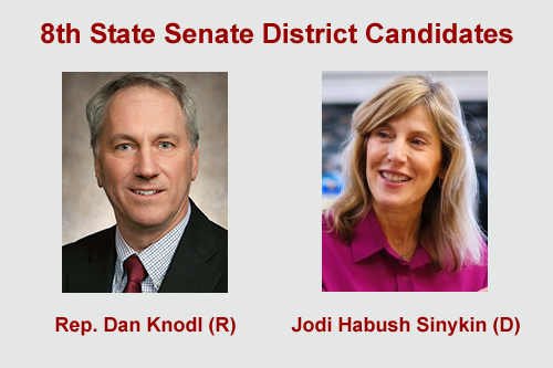 8th State Senate District Special Election Candidates