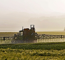 Agricultural Chemicals