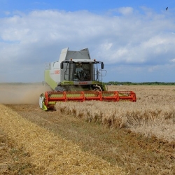 Farming