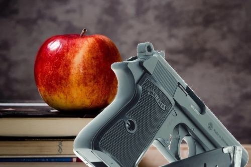 Apple School Books Pistol