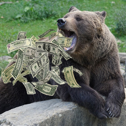 A Bear Coughing Up Cash