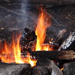 Camp Fire