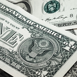 Dollar Bill