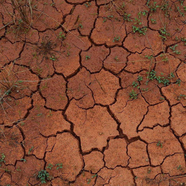Dried Up Soil