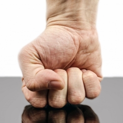 Fist
