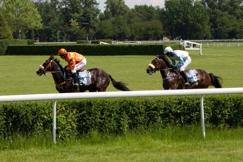 Horse Racing