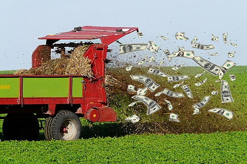 Manure Spreader Spewing Cash and Manure