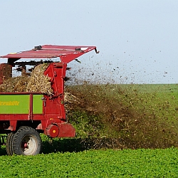 Manure Spreading