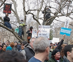 Protest