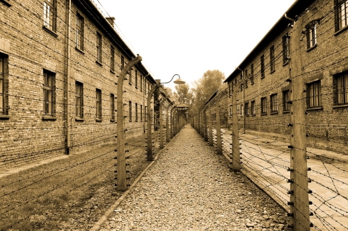 Trump and the Road to Fascism