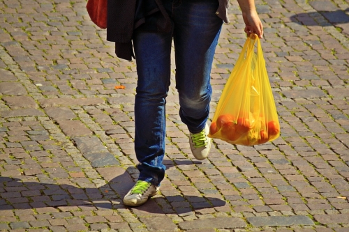Plastic Shopping Bag