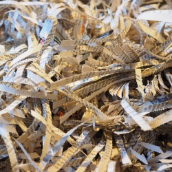 Shredded documents