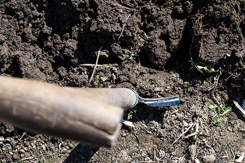 Shovel in Ground